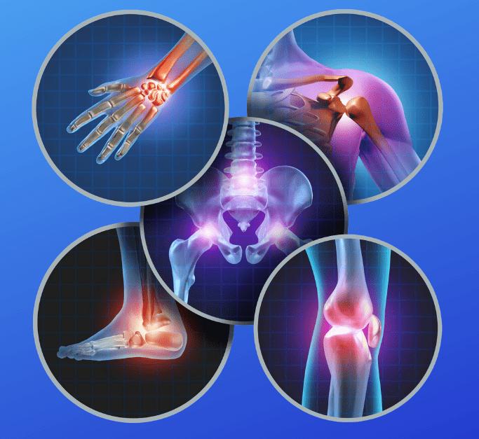 Orthopedics - Angelus Medical and Optical