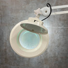Mobile Magnifying Light
