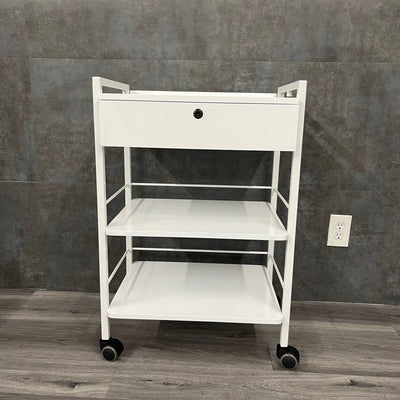 Mobile Medical Supply Cart with a Drawer and Lock Mobile Medical Supply Cart with a Drawer and Lock (New) - Silver Fox -Angelus Medical