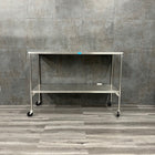 Pedigo Stainless Steel Instrument Table 48 x 20 x34 (Used) - Pedigo -Angelus Medical