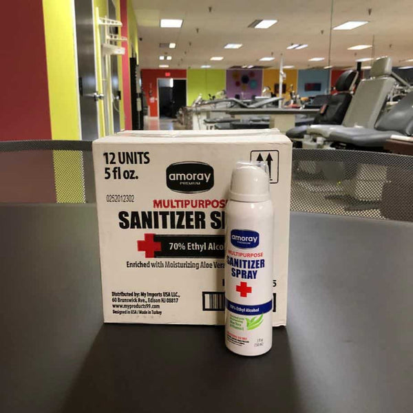 Sanitizing Spray with Aloe- each