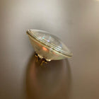 Skytron Bulb (New) - SKYTRON -Angelus Medical