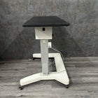Zeiss Humphrey Double Power Instrument Table - Zeiss -Angelus Medical