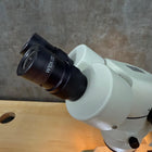 National Optical 420 Zoom Microscope