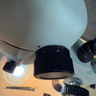 National Optical 420 Zoom Microscope
