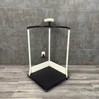 Seca 644 Platform Scale with arm rails in Los Angeles