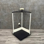 Seca 644 Platform Scale with arm rails in Los Angeles