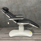 Silver Fox Aethetic Chair