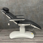 Silver Fox Aethetic Chair