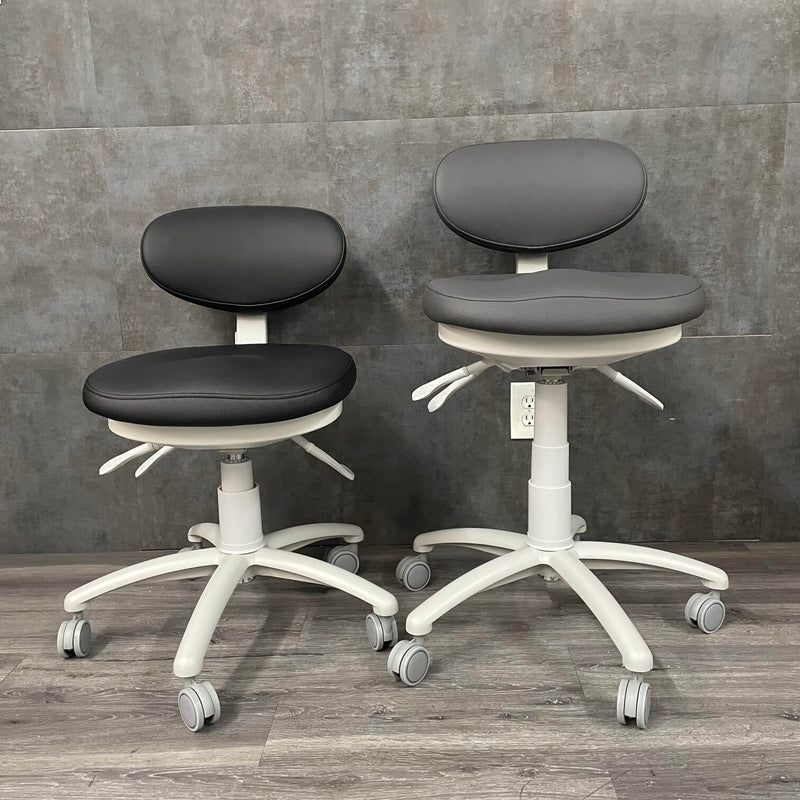 Silver Fox 8C01 Physician Stool with Back