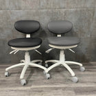 Silver Fox 8C01 Physician Stool with Back