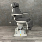 Silver Fox EBN Chair