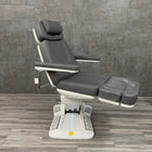 Silver Fox EBN Chair - Gray