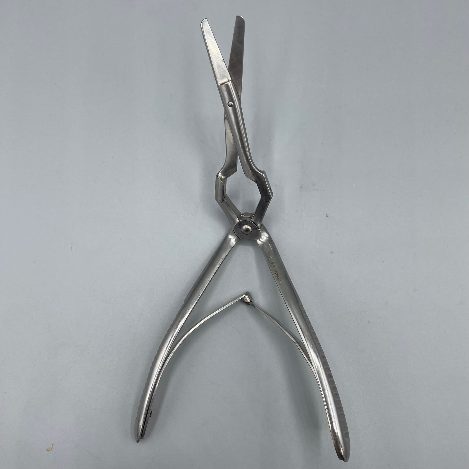 Storz Becker Septum Scissors - – Angelus Medical and Optical