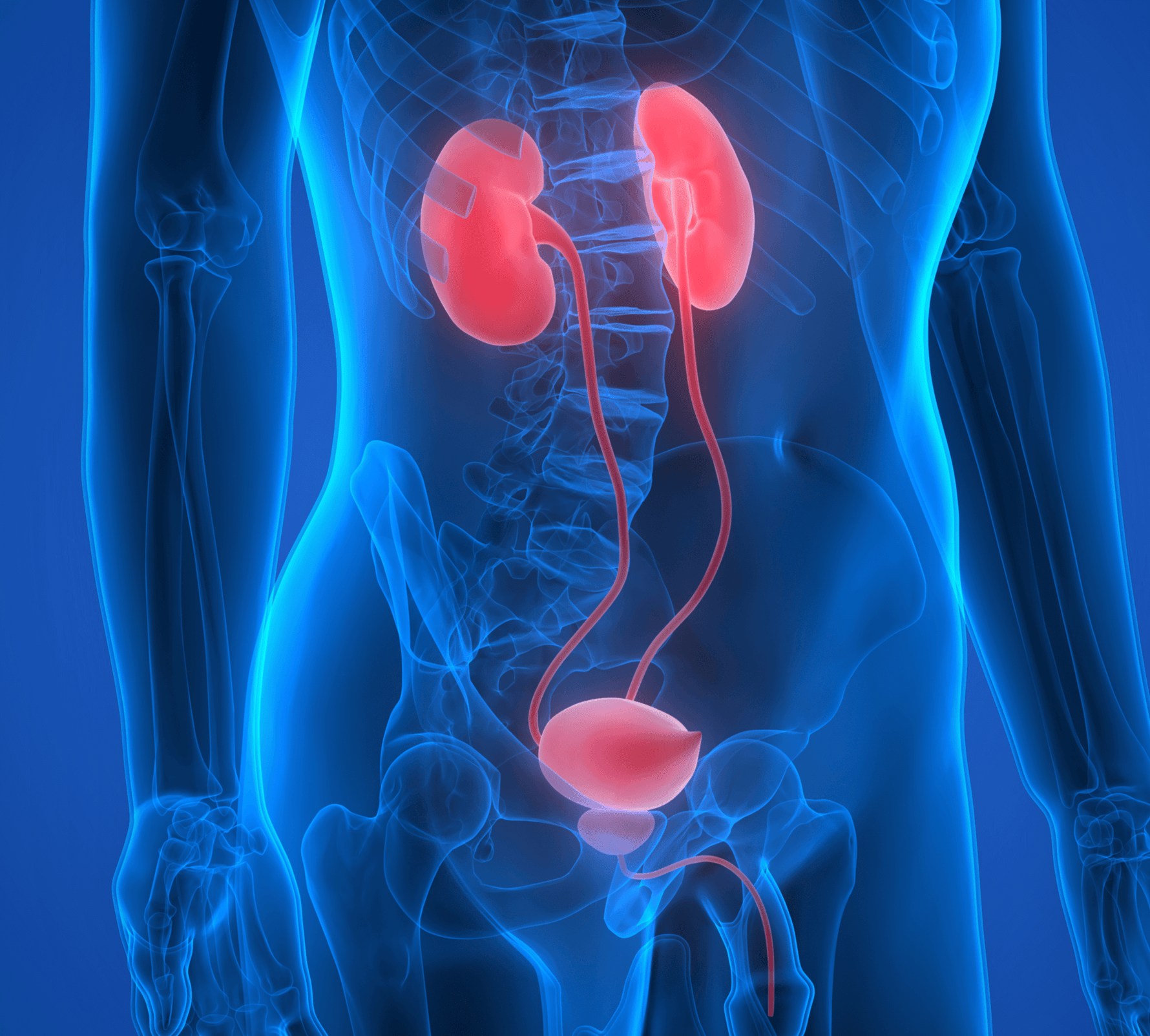 Urology Equipment at Angelus Medical