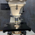 Zeiss Axioskop,Zeiss Microscope,#Angelus