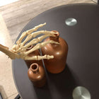 Anatomical Human Skeleton (New) - NMD -Angelus Medical