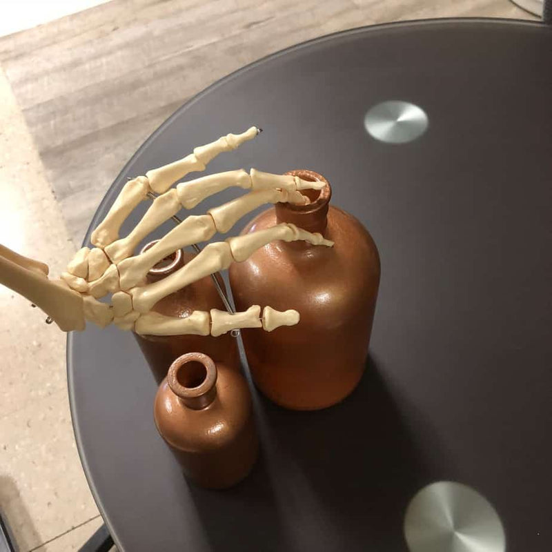 Anatomical Human Skeleton (New) - NMD -Angelus Medical