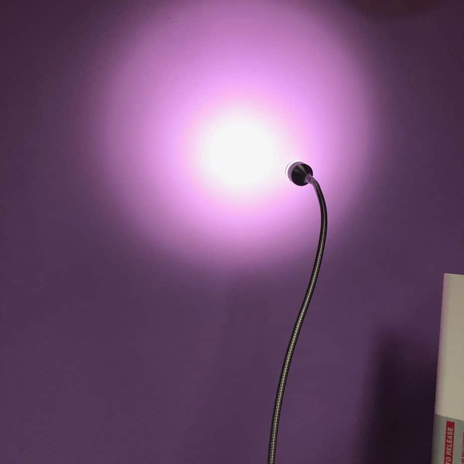 Angelus LED Stainless Steel Exam Light (New) - Angelus Medical and Optical -Angelus Medical