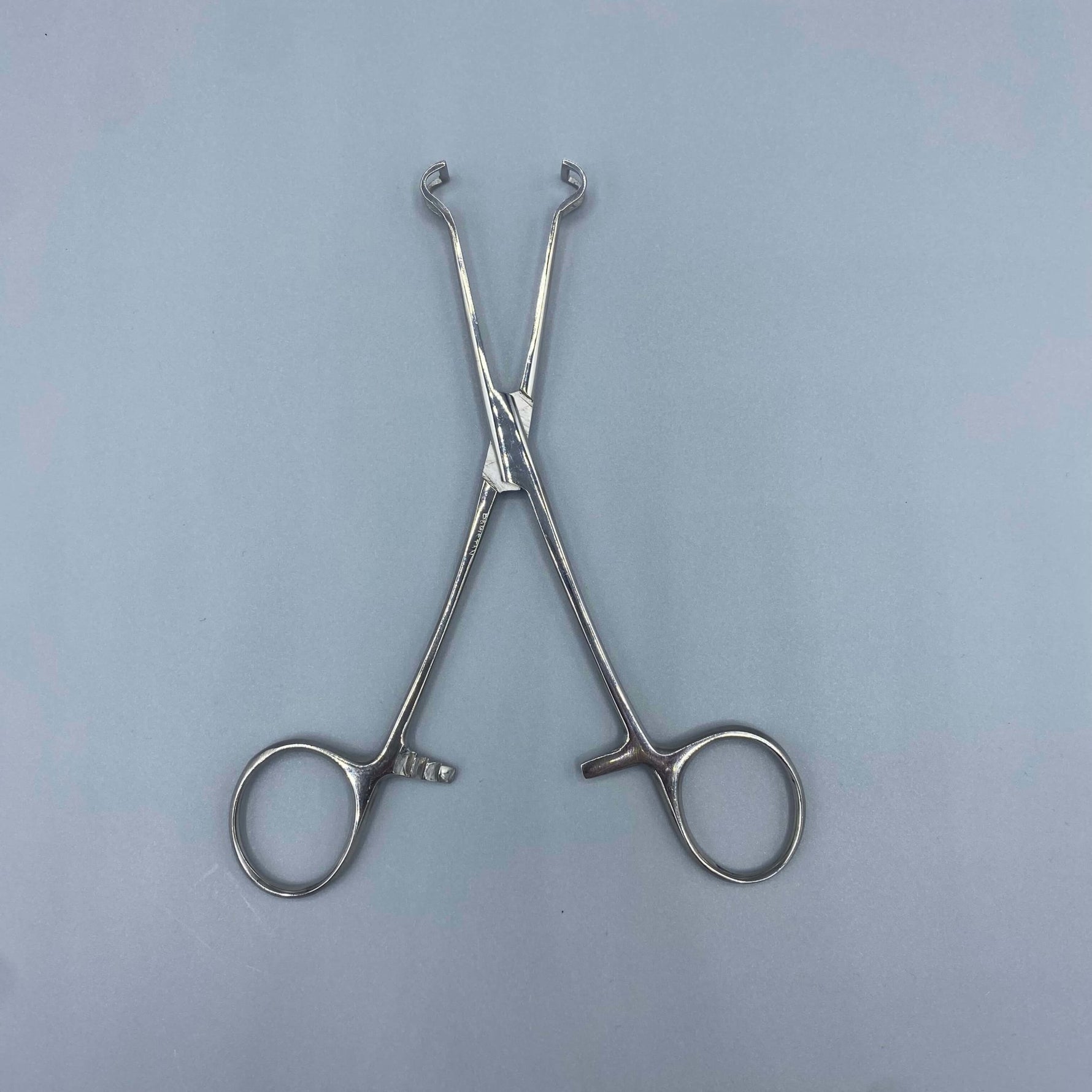 Crown Babcock Intestinal Forcep “baby” 5 1/2” - Crown -Angelus Medical