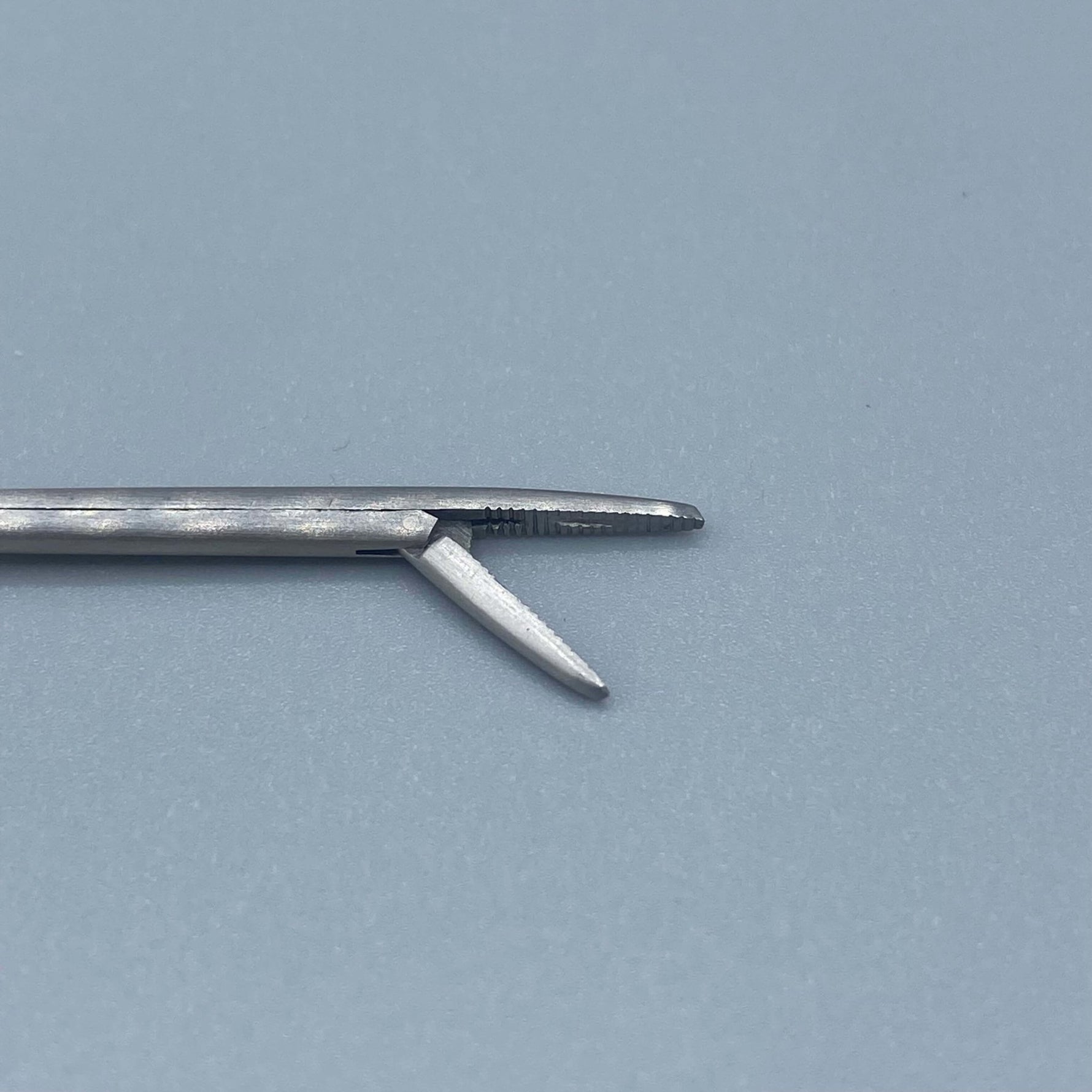 Crown Hartman Alligator Forceps - Crown -Angelus Medical