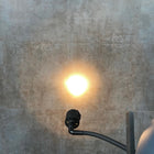 Dazor Chair Mount Exam Light - Dazor Lighting Technology -Angelus Medical