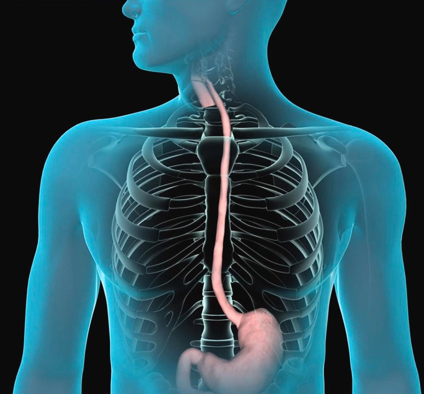 Endoscopy Equipment - Angelus Medical and Optical -Angelus Medical