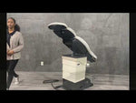 Midmark Ritter 630 Procedure Chair at Angelus Medical