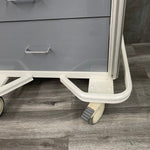 Medical Cart with 6 Drawers and Lock and Key (Refurbished) - Armstrong Medical -Angelus Medical