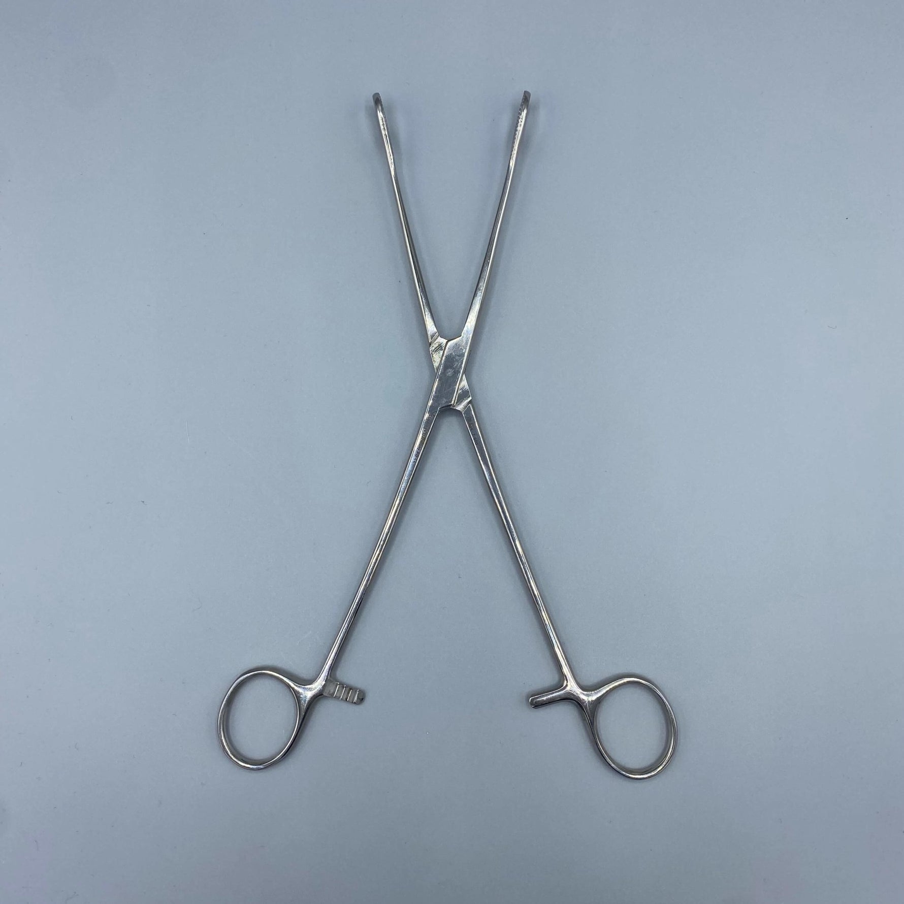 Miltex Sponge Forceps Straight Serrated - Miltex -Angelus Medical