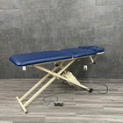 Oak Works 3 Section Power Treatment Table - Oak Works -Angelus Medical