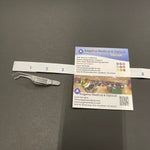 Storz Eye forceps (Used) - Storz -Angelus Medical