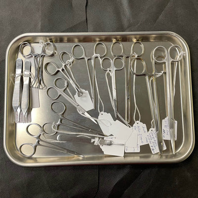 Vasectomy Instrument Set Vasectomy Instrument Set - Miltex -Angelus Medical