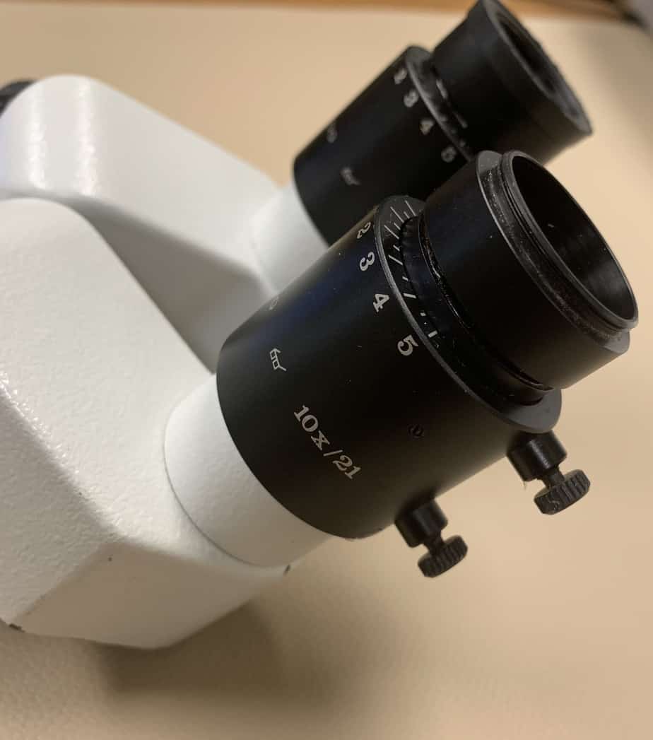 WILD Heerbrugg Eyepieces-Switzerland - Leica -Angelus Medical